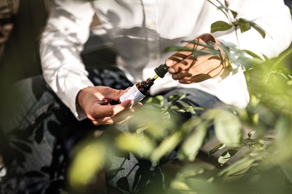 Recommandation d'utilisation de l'huile CBD Recommandation d'utilisation de l'huile CBD