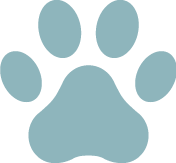 Fait ronronner le chat Fait ronronner le chat