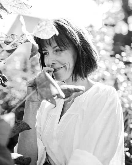 Sans flavonoïdes, sans terpènes - seulement du CBD Sans flavonoïdes, sans terpènes - seulement du CBD