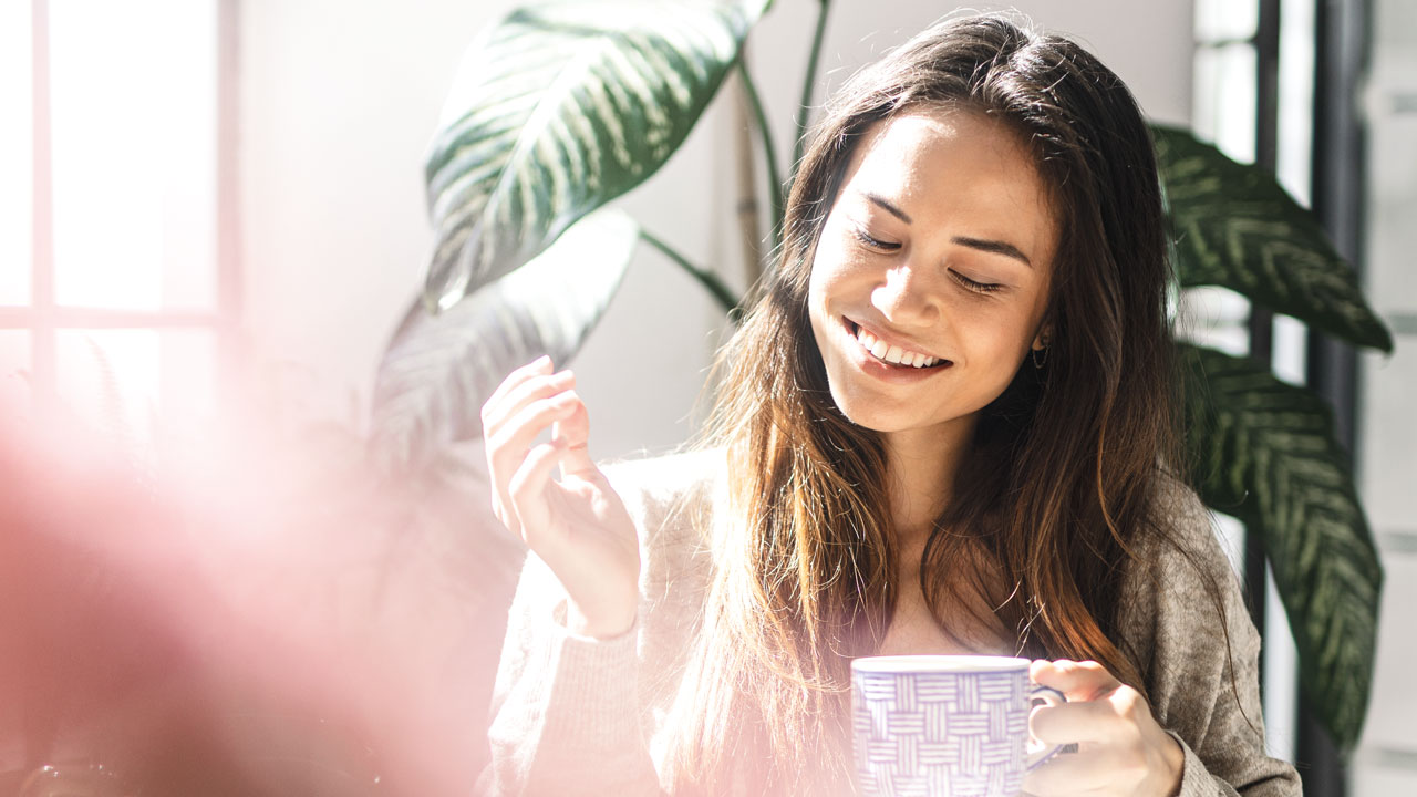 Dégustez notre tisane au chanvre CBD Dégustez notre tisane au chanvre CBD