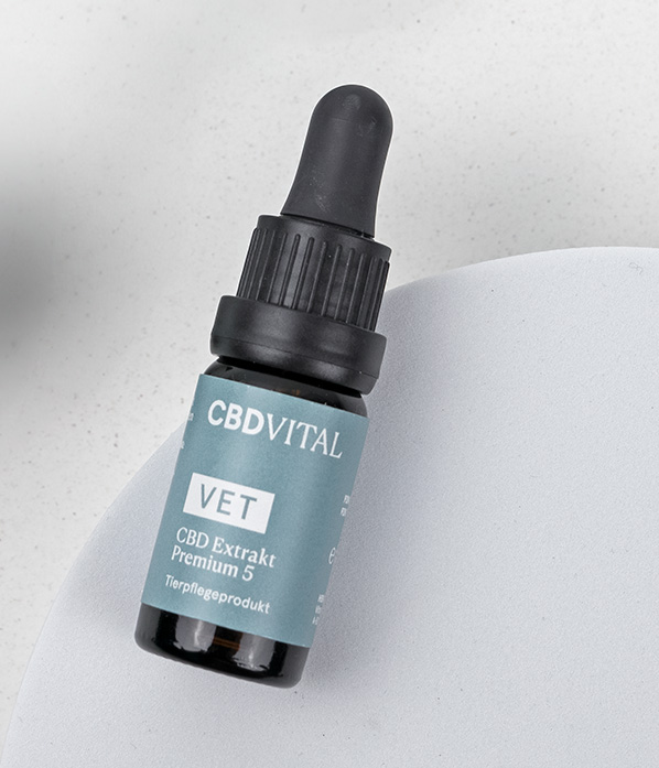 Huile de graines de chanvre BIO pressée à froid avec CBD Huile de graines de chanvre BIO pressée à froid avec CBD
