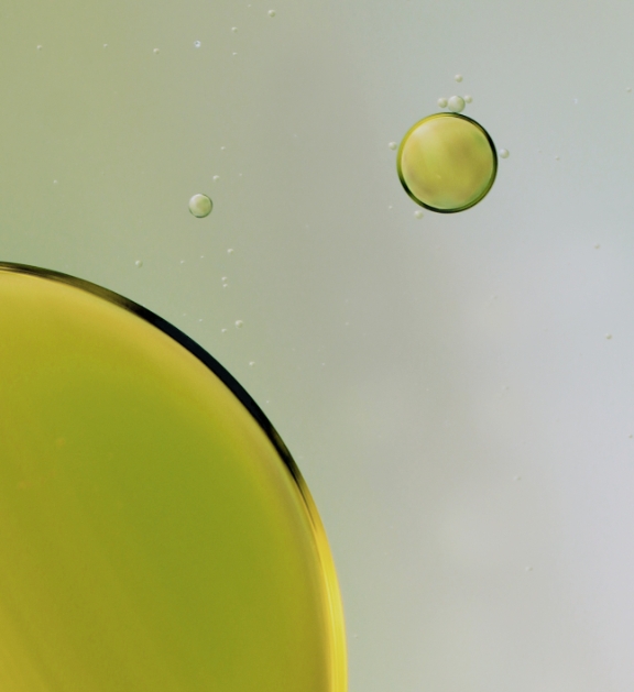 Le développement durable chez CBD VITAL Le développement durable chez CBD VITAL